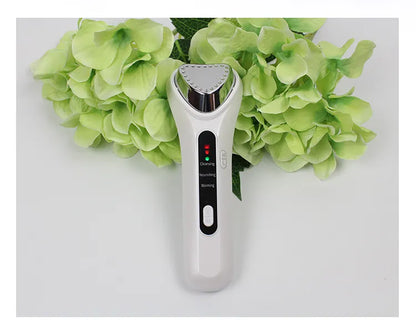 Home Facial Beauty Instrument